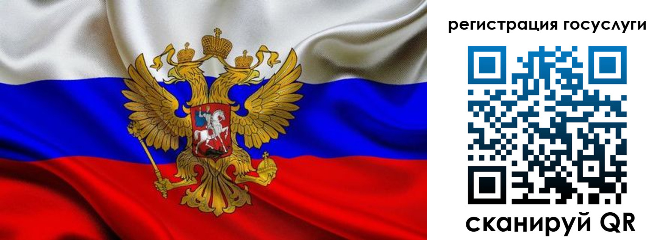 прописка гарантия в Рошале